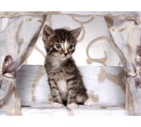 OZLHSP puzzle dinosauri 500 pezzi Gattini Animali 52x38cm