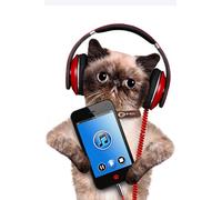 OZLHSP puzzle escape 500 pezzi Animali 52x38cm