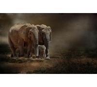 OZLHSP puzzle escape 500 pezzi Elefante 52x38cm