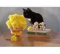 OZLHSP puzzle escape 500 pezzi Gatti Animali 52x38cm