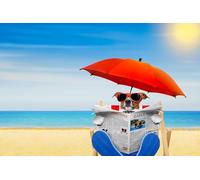 OZLHSP puzzle escape 500 pezzi Ombrellone da spiaggia animale 52x38cm