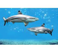 OZLHSP puzzle magritte puzzle 500 pezzi Squali Animali 52x38cm