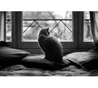 OZLHSP puzzle opere d'arte puzzle 500 pezzi Animale gatto 52x38cm