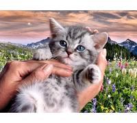 OZLHSP puzzle particolari puzzle 500 pezzi Gattini Animali 52x38cm