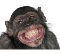 OZLHSP puzzle quadri famosi 500 pezzi Le scimmie sorridono agli animali 52x38cm