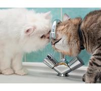 OZLHSP puzzle strani puzzle 500 pezzi Gatti Animali soffici 52x38cm