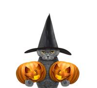 OZLHSP regali per chi ha tutto puzzle 500 pezzi Animali 52x38cm