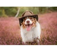 OZLHSP regali per chi ha tutto puzzle 500 pezzi Pastore australiano 52x38cm