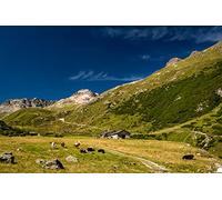 OZLHSP wooden jigsaw 500 pezzi Valle delle mucche in Svizzera 52x38cm