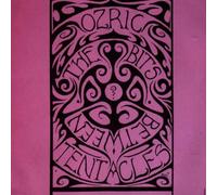 Ozric Tentacles - Bits Between the Bets