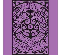 Ozric Tentacles - Bits Between The Bits