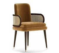 OZSSLJJ Luxurious Rattan Leisure Dining Chairs | Padded Comfort Side Chairs for Living Room | Stylish Lounge Seating