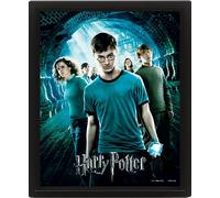 P.Derive HARRY POTTER - Order of the Phoenix - 3D Lenticula NUOVO