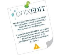 P I Kids Baby Einstein Lift A Flap Look & Find (Copertina rigida)