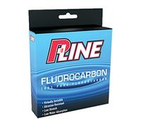 P-Line Angelleine 750186106 - Corda morbida, trasparente, 0,25 mm