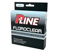 P-Line Filo da Pesca, Trasparente, 0,40 mm, 750187509