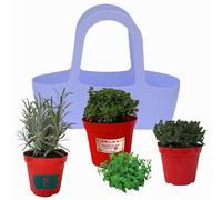 P. Piantine da orto .Borsa LILLA dal design elegante accompagnate da 3 aromatiche,piante vere da balcone,terrazzo,giardino e orto .Idea regalo (LAVANDA,MAGGIORANA,TIMO, 3)