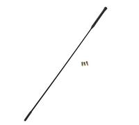 P Prettyia - Antenna Radio AM/FM, 55 cm, per Ford Focus 2000-2007