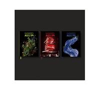 P1Harmony - HARMONY : ALL IN (6th Mini Album) CD+Folded Poster (BUMP IN ver, + 1 Folded Poster)