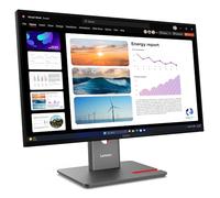 Lenovo P24Q-40 0198156604378
