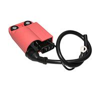 P2R (motorizzato) - Bobina di accensione Scoot adattabile per Piaggio 50 Zip 2t 1992+1997, Typhoon 1994+1997, nrg 1994+1998, gilera 50 Stalker 1997+2003