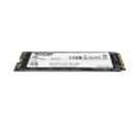 P300 M.2 1000 Gb Pci Express NEW