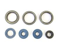P400010400013 SERIE PARAOLI MOTORE ATHENA APRILIA CLASSIC-RS-TUONO 125 ROTAX 122