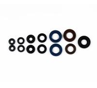 KIT SERIE PARAOLI MOTORE COMPLETI ATHENA CAGIVA MITO 50 1998 1999 P400105400050