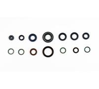 P400110400101 Serie paraolio motore DUCATI 900 MONSTER CROMO / SPECIAL 99-99