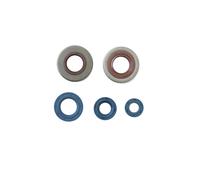 P400130400210 Serie paraolio motore MALAGUTI 50 DUNE KS/GS 1988-1990 ATHENA