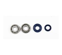 P400130444005 Athena Kit Cuscinetti e paraoli Albero motore MINARELLI Aria e H2o