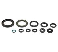 P400210400064 Serie paraolio motore HONDA 500 CRF X 2005-2009 ATHENA