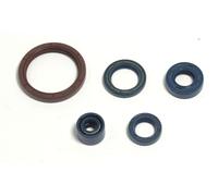 P400220400255 Serie paraolio motore HUSQVARNA 310 TE Husqvarna Engine 09-10