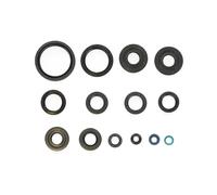 P400250400029 KIT PARAOLI MOTORE KAWASAKI KVF A/B/C BRUTE FORCE 4X4I 750 2012