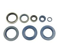 P400270400006 Serie paraolio motore KTM 640 R ADVENTURE 2003-2006 ATHENA