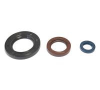 P400270400031 Serie paraolio motore KTM 250 MX 1980-1981 ATHENA