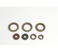 P400270400038 Serie paraolio motore KTM 690 RFR 2007-2011 ATHENA