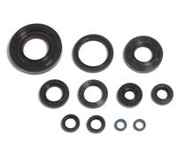 P400485400035 - SERIE PARAOLI MOTORE YZ 250