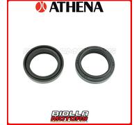 P40FORK455168 KIT PARAOLI FORCELLA YAMAHA XV 250 V STAR 2010-2013 250cc MGR-RSA