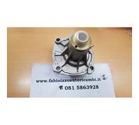 DOLZ A131ST Pompa acqua