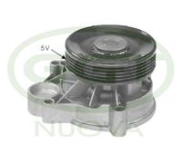 PA12429 GGT Pompa acqua per BMW