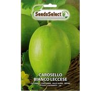 PACCHETTO 4 BUSTINE SEMENTI SEMI DI CAROSELLO OGNUNA CIRCA 5 GR