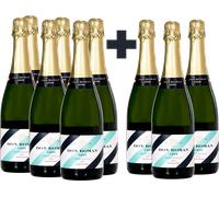 Pacchetto 6+3 Gratis Cava Brut di Don Román - set 6 + 3