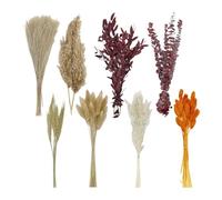 Pacchetto artistico fiori secchi da 110 | Steli naturali e composizioni floreali per la valorizzazione degli interni e l ' esposizione delle celebrazioni