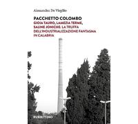 Pacchetto Colombo. Gioia Tauro, Lamezia Terme, Saline Joniche: la truffa dell'industrializzazione fantasma in Calabria