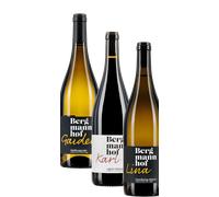 Pacchetto degustazione 'Selezione Bergmannhof' 2023