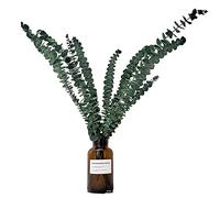 Pacchetto Di Piante Di Eucalipto, Gambi Naturali, Foglie Di Eucalipto, Rami Di Eucalipto Secchi Conservati, Forniture Di Doccia, Rami Di Piante Di Eucalipto Secche, Grandi Gambi Di Eucalipto Per