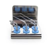 Pacchetto punte scaler endodontico picchio kit professionale (confezione da 12)