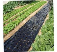Pacciamatura, Pellicola per pacciamatura in plastica nera a 5 fori per film vegetale agricolo Pianta in plastica PE perforata per membrana per piante da giardino intensamente 3X33 Ft, barriera contro