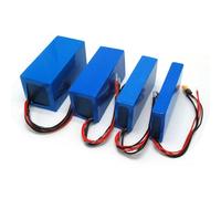 PACCO BATTERIA LITIO RICARICABILE LG 24V 25,6V 7Ah 10Ah 14Ah 17,6Ah 23Ah